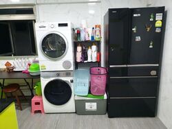 Blk 250 Pasir Ris Street 21 (Pasir Ris), HDB Executive #437989311